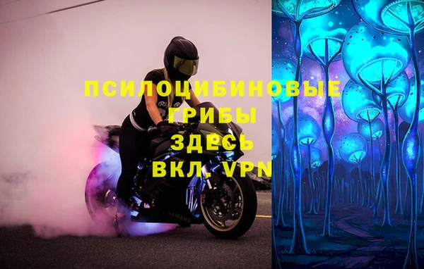 ALPHA PVP Баксан